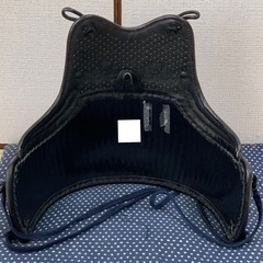 [価格交渉️⭕️] 剣道着 胴 鬼雲 成人女性使用の画像