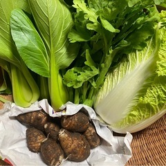 【野菜セット】の画像