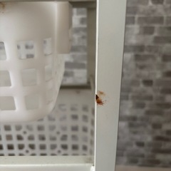 引き出し付きスチールラック　収納ラックの画像