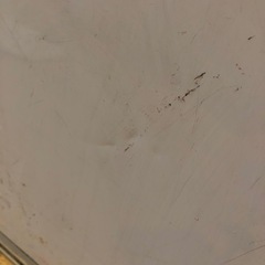 ホワイトボードの画像