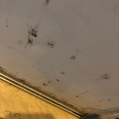 ホワイトボードの画像