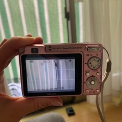 SONYデジカメの画像