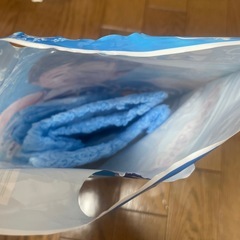 水遊びパンツの画像