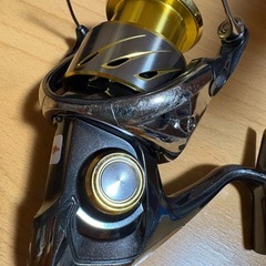 SHIMANO 14  ステラ 3000HG の画像