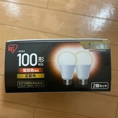 電　球の画像
