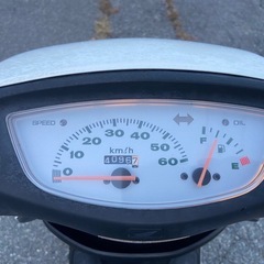 自賠責保険2026年8月！ ライブディオ！ 後期型！の画像