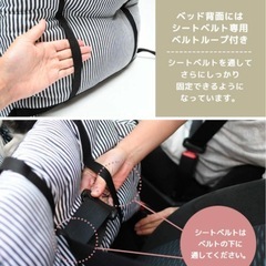 ラディカ　ドライブベッド　の画像