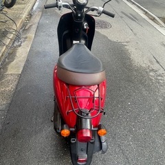 トゥデイ50cc AF67 の画像