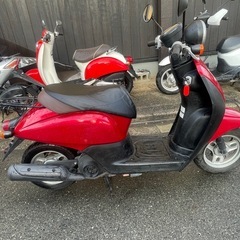 トゥデイ50cc AF67 の画像