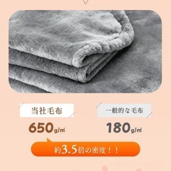ふわとろ❣️電気毛布 掛け敷き兼用 190×130cm 大判サイズ 8段階温度の画像