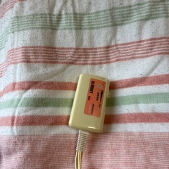 ダブルの電気毛布の画像