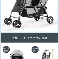 besrey　二人乗り ベビーカー 縦型 ベビーカー 2人乗りベビーカー 双子 兄弟 姉妹 二人用ベビーカー レインカバー 大容量物置 カゴ 折りたたみベビーカー の画像