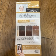 リーゼヘアカラー　マシュマロブラウンの画像