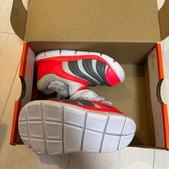 Nike Dynamo Free (TD) 9C の画像