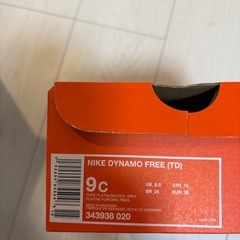 Nike Dynamo Free (TD) 9C の画像