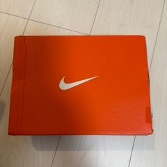 Nike Dynamo Free (TD) 9C の画像