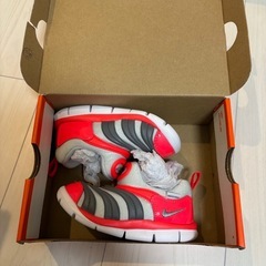 Nike Dynamo Free (TD) 9C の画像