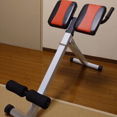 iROTEC（アイロテック） バックエクスベンチ 背筋強化アイテムの画像