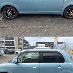 ミラジーノ の画像