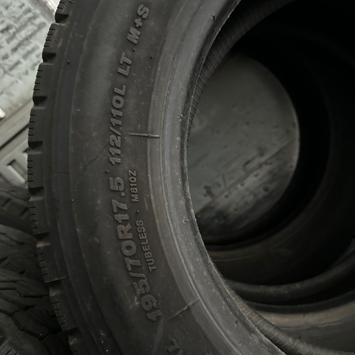 BS 195/70R17.5 M810 オールシーズンMIXタイヤ
