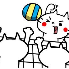 【11月20日(木)11時～13時】バレーボール仲間、大募…