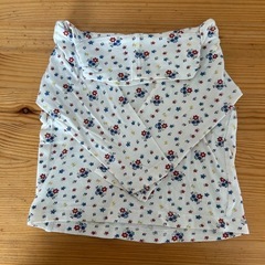 タートル3枚　80の画像