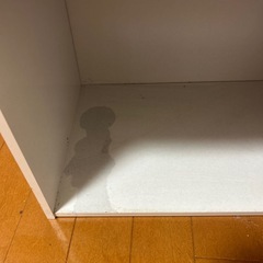 本日限定 引き取り限定 カラーボックスの画像