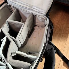 プロタクティック BP450AW II バックパック (Lowepro)の画像