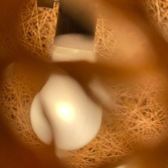 あげます！アジアンライトの画像