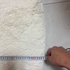 ラグマットの画像