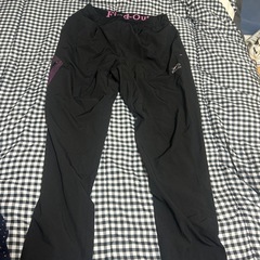 スポーツウェア上下セット3Lの画像