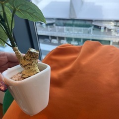 【3個セット】オレンジ色のビーズクッションの画像