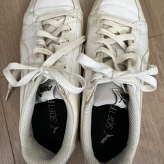 プーマ・24㎝・スニーカーの画像