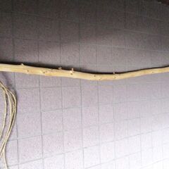 流木　ハンガーラック　インテリア　ディスプレイの画像