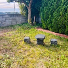 決定しました！擬木？テーブル椅子の画像