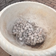 足つきプランターの画像