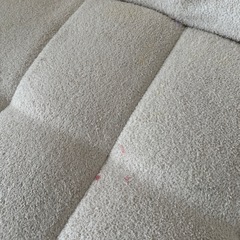 ブークレソファの画像