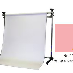 引渡予定者決定済：撮影用背景紙 BPS-1805 1.8x5.5m 2本（スノー、カーネーションピンク） の画像
