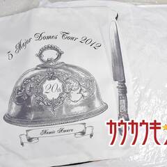 安室奈美恵 ドームツアー 5major dome tour 20th クッション＋クッションカバー タイプBの画像