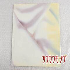 渡辺美里 パンフ 1988-1989 コンサート ツアーパンフの画像