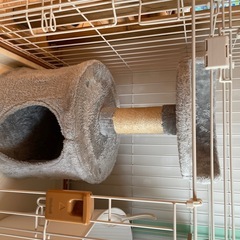 リッチェル 木製お掃除簡単キャットサークル S 猫用 ペットサークル ケージ キャットケージ 猫ケージ ネコの画像