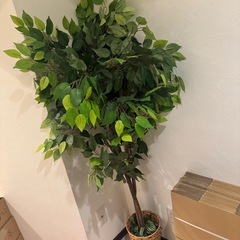 観葉植物風 オブジェ フェイクリーフの画像