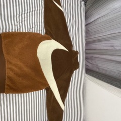 ナイキアウターの画像