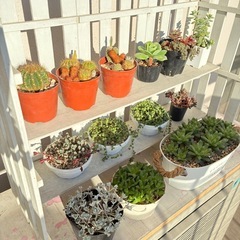 　決まりました^^の画像