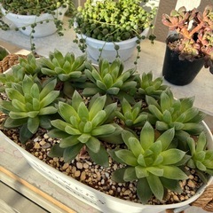 　決まりました^^の画像