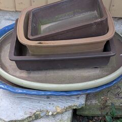 楕円水盤 盆栽鉢 5点まとめて　一番大きい品 60×45㌢位 の画像