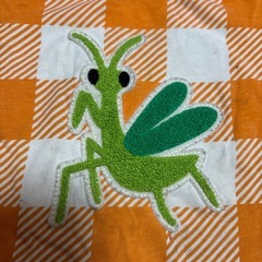 かまきり　インセクト　コレクション　虫　半袖　Tシャツ　オレンジ　Mサイズ　Mの画像