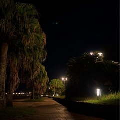 一緒にウォーキングしませんか！？😆🌿