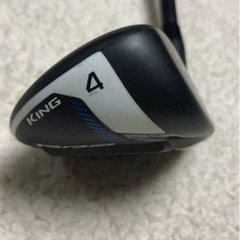 コブラ4U
の画像