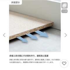 「11／20まで」フレームのみ  ローベッドの画像